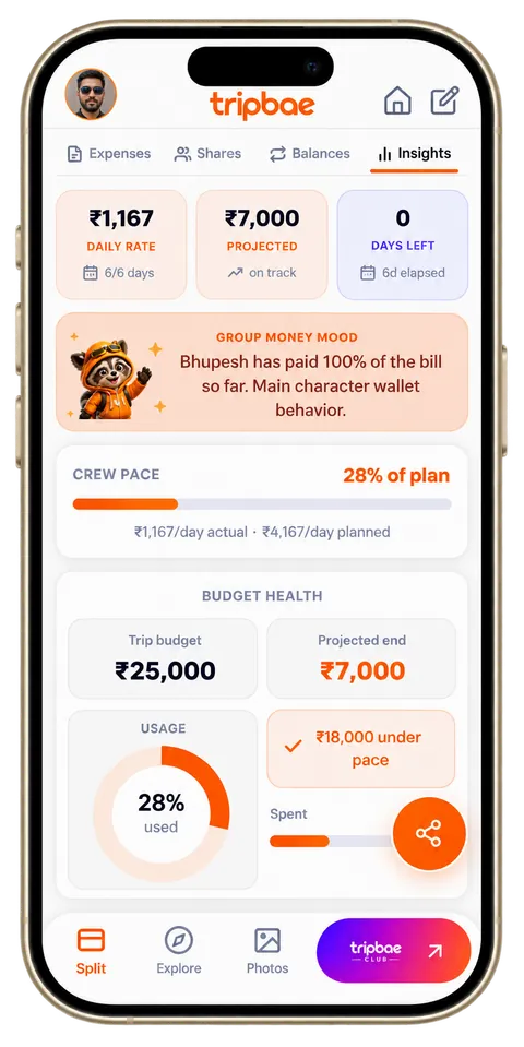 Tripbae's Insights tab showing daily spend rate, projected spend and budget health for a group trip